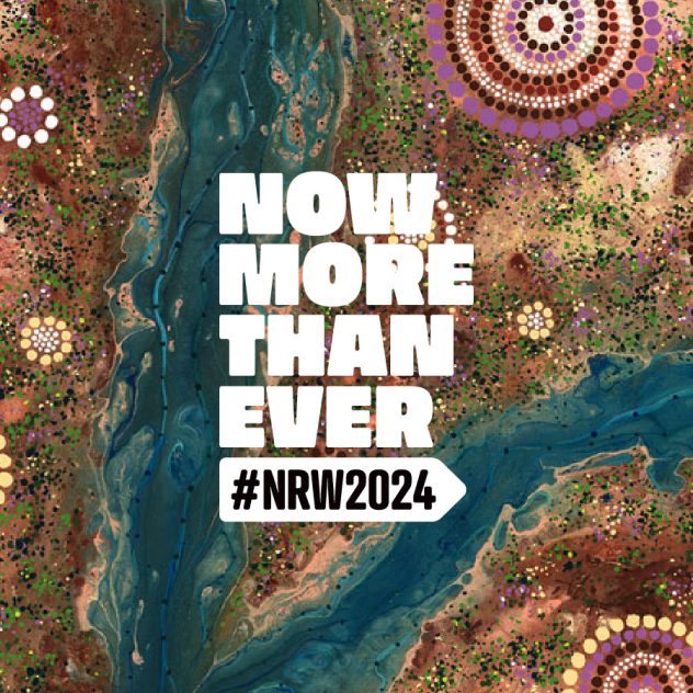 Artwork from the Diona RAP featuring the 'Now More Than Ever' logo from Reconciliation Australia for National Reconciliation Week.